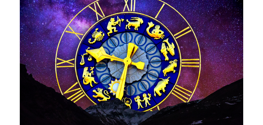 Tekamül Danışmanlığı