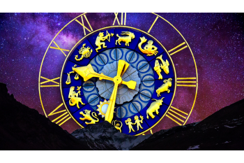 Tekamül Danışmanlığı